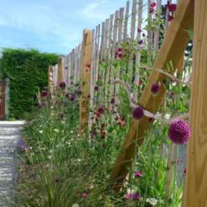 La ganivelle, une clôture naturelle dans votre jardin - Ameline Arbora