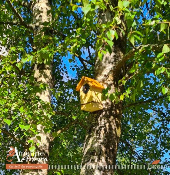 ameline arbora, paysagiste sur Dinan, installe des nichoirs pour les oiseaux