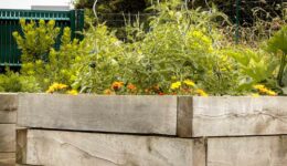 paysagiste pour jardin collectif - dinan - St lunaire - Dinard - St Malo