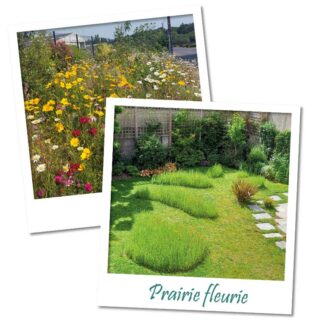 prairies-fleuries