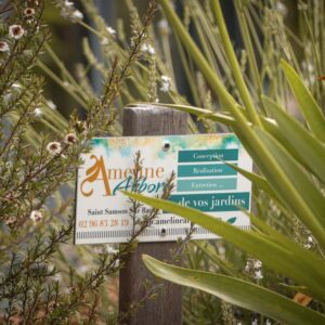 entretien de jardin dinan dinard st malo Ameline arbora (10)