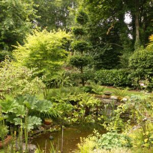 entretien de jardin dinan dinard st malo Ameline arbora (15)