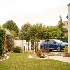 entretien de jardin dinan dinard st malo Ameline arbora (18)