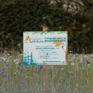 entretien de jardin dinan dinard st malo Ameline arbora (21)