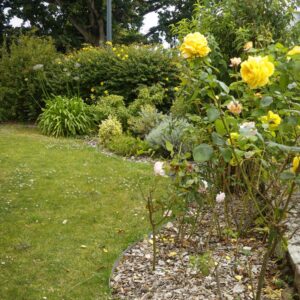 entretien de jardin dinan dinard st malo Ameline arbora (3)