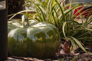 jardin nourricier potager minihic sur rance (11)