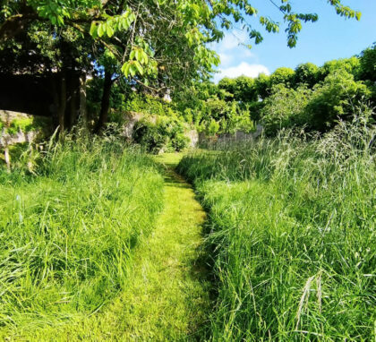 Gestion différenciée d'un jardin près de Dinan 